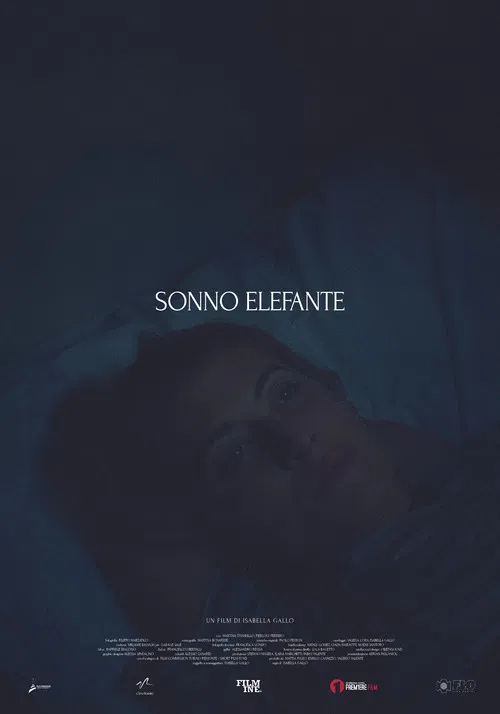 Sonno Elefante poster