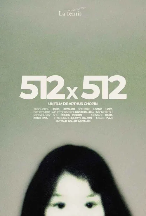 512X512 poster