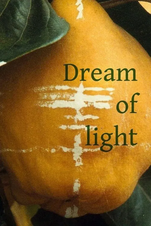 Dream of Light poster