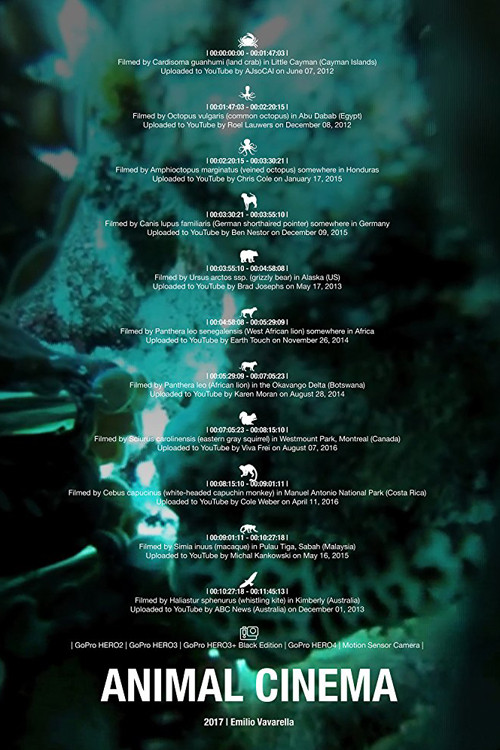 Animal Cinema poster