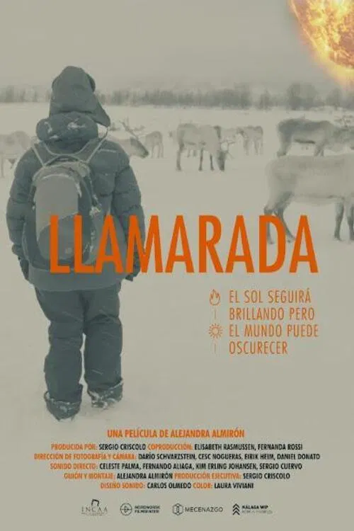 Llamarada poster