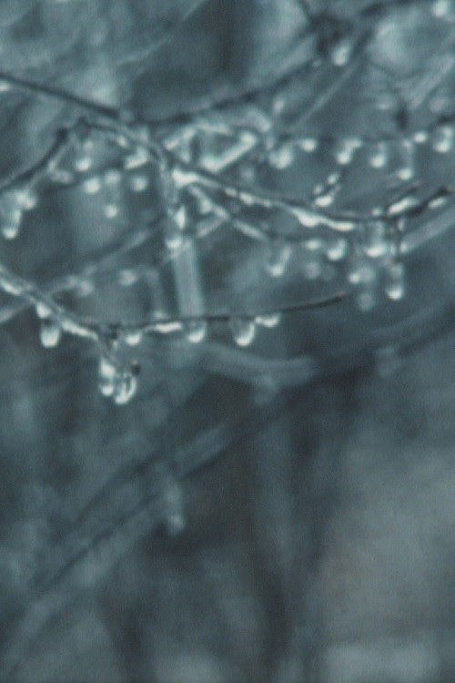 Super 8 Diary - 1989 poster