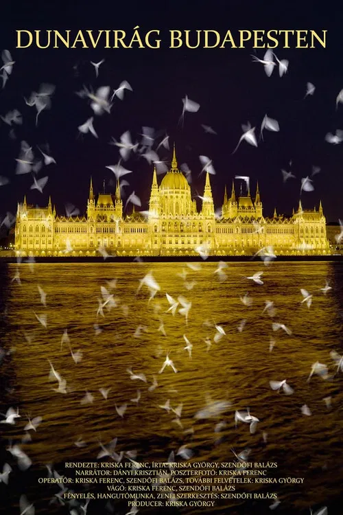 Dunavirág Budapesten poster