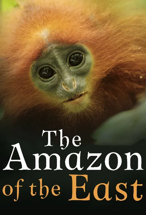 The Amazon of the East poster