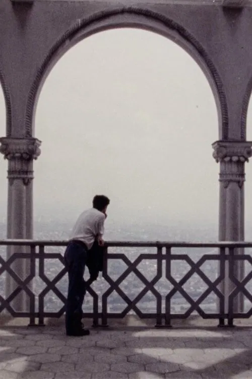 During the Many Years poster