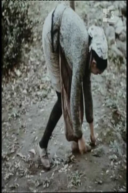 Tempo di raccolta poster