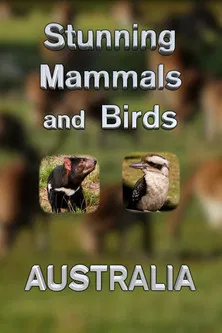 Stunning Mammals and Birds: Australia poster