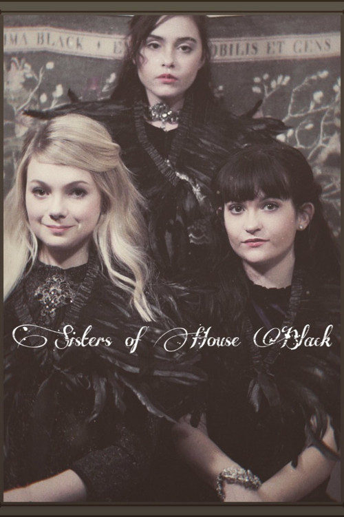 Sisters of House Black poster