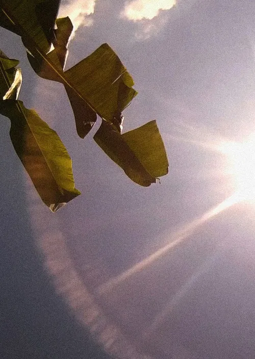 Amérika: Bahia de las Flechas poster