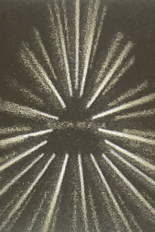 Stanislavski's Gun poster