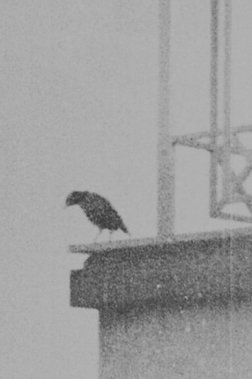 Ghazal no 884 By Bidel poster