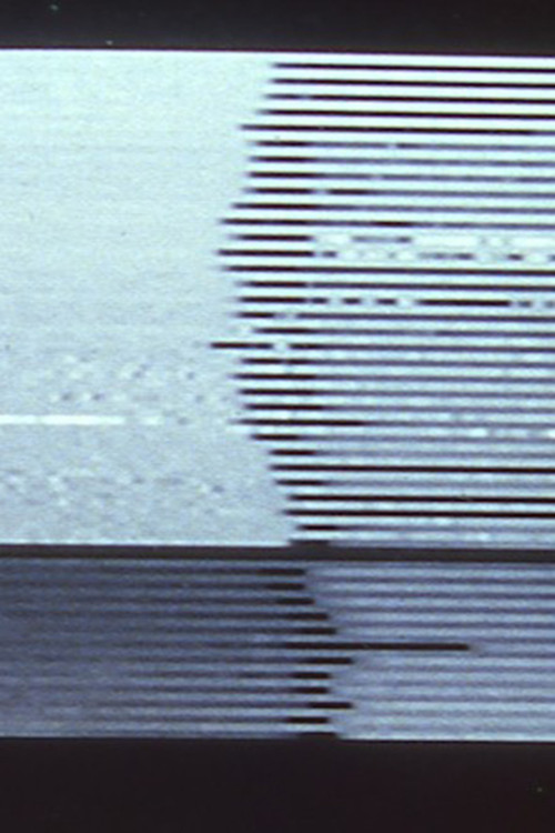 Stasis Series I & II I. Still Life; II. Papa's Garden poster