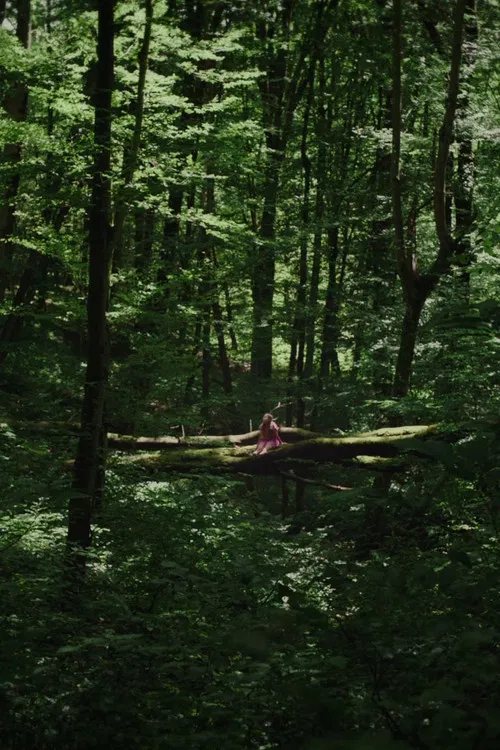 Kétoldali közelítés poster