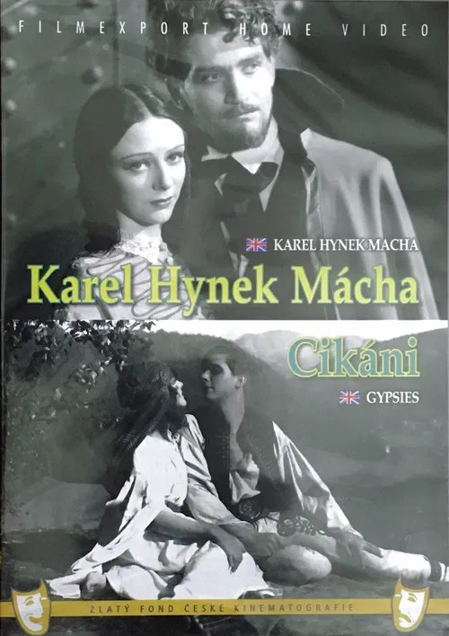 Gypsies poster