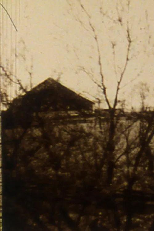 Tell Me What You Saw poster