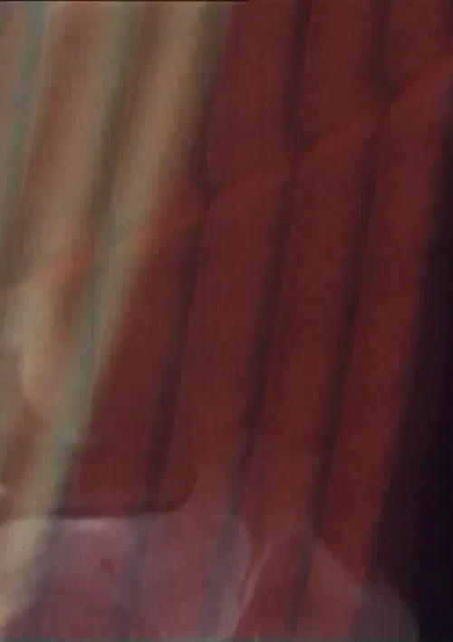 The Old Woman's Face, The Soup Tureen, Vreni Keller Speaks and Madame's Fanny poster