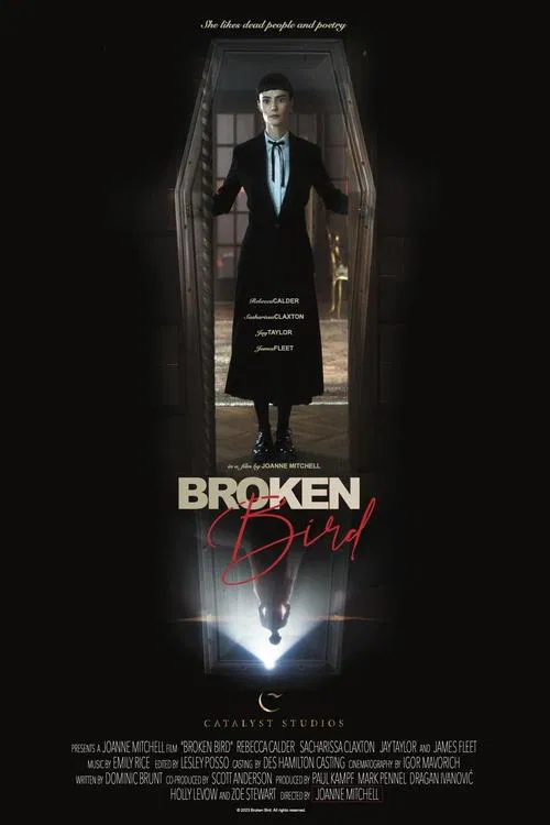Broken Bird poster