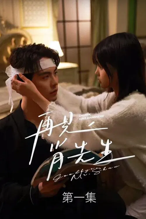 再见了，肖先生 poster