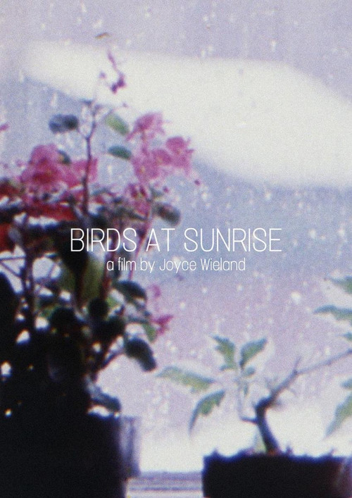 Birds at Sunrise poster