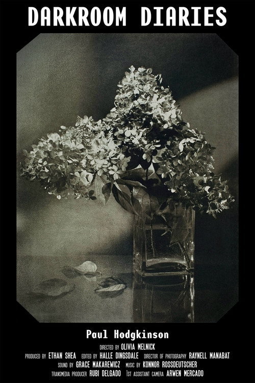 Darkroom Diaries poster