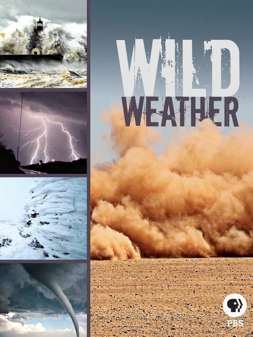Wild Weather poster