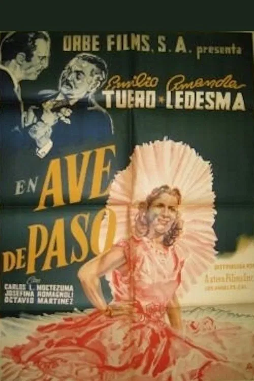 Ave de paso poster