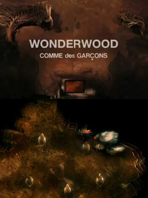Wonderwood: Comme des garçons poster