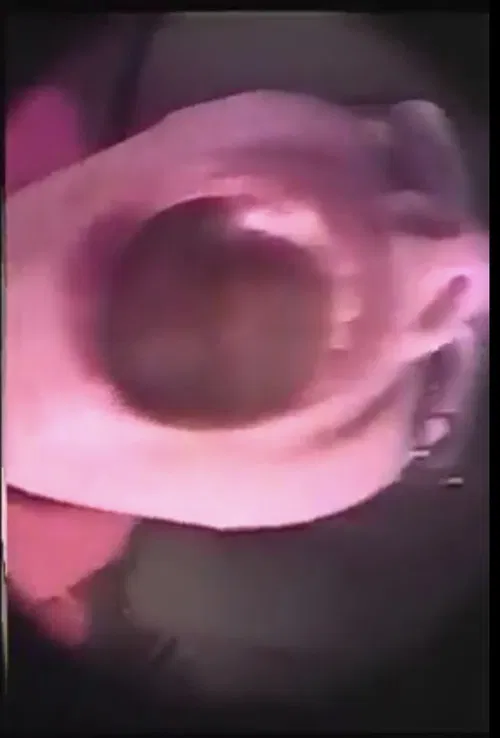 Tribute to Gloria Vanderbilt, Pt 2 poster