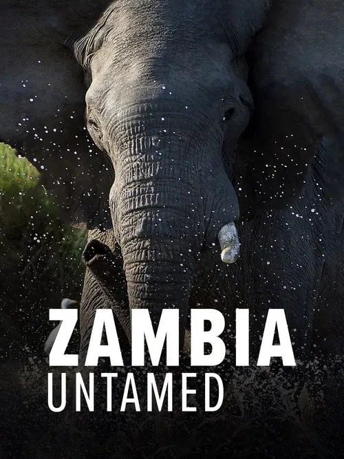 Zambia Untamed poster