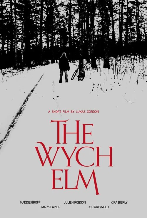 The Wych Elm poster