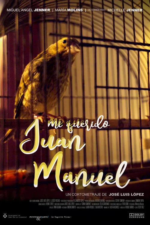 Mi querido Juan Manuel poster