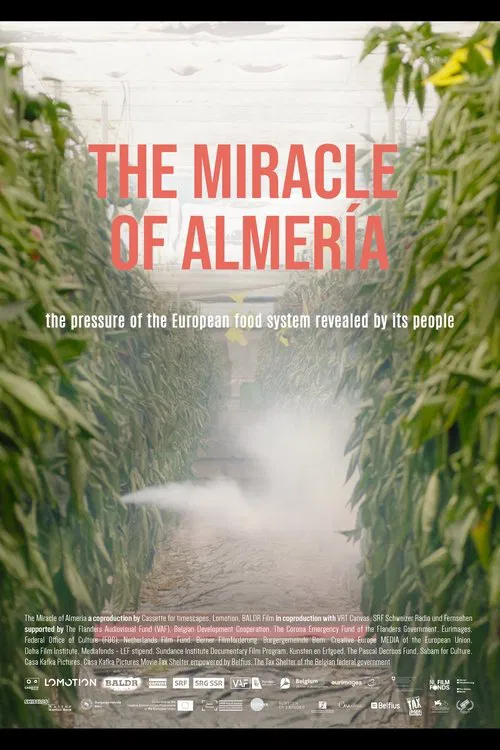 The Miracle of Almería poster