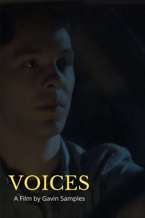 Voices poster