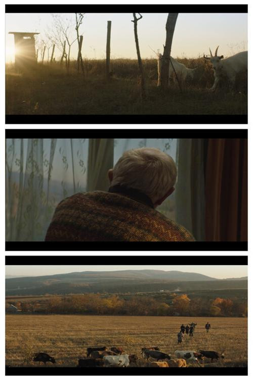 Don’t Leave Home! poster