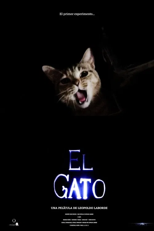 El gato poster