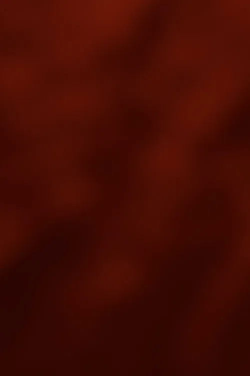 Dissolve the Walls poster