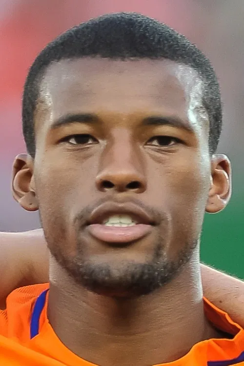 Georginio Wijnaldum profile