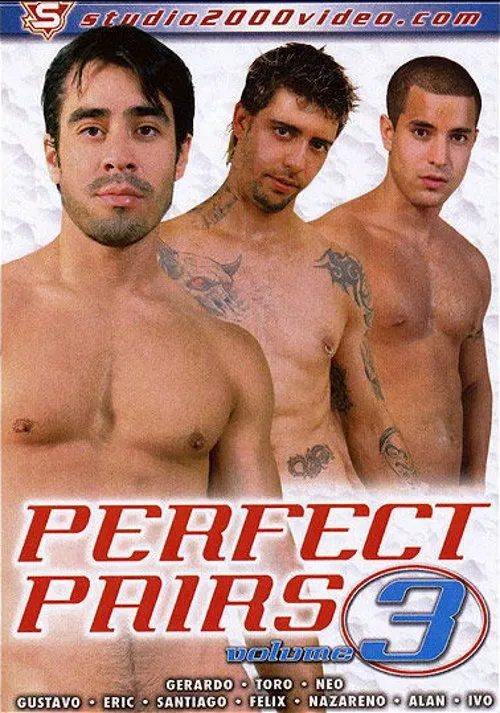 Perfect Pairs 3 poster