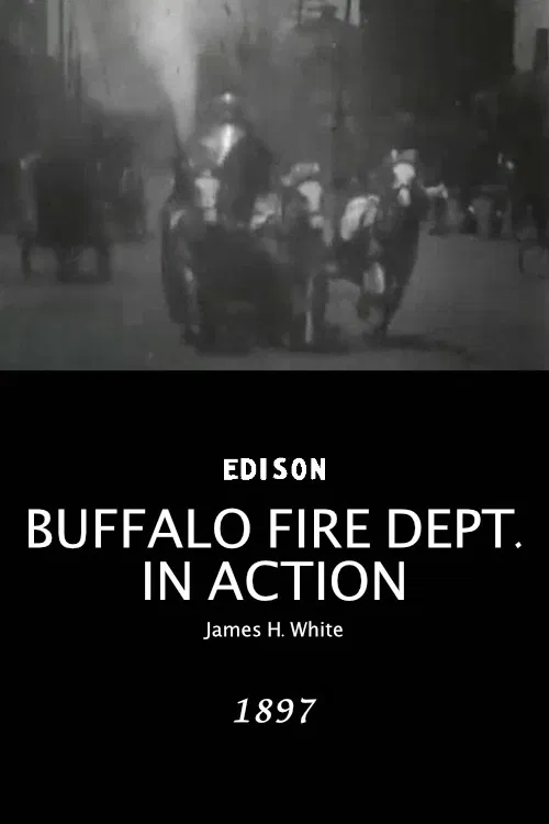 Buffalo Fire Department in Action poster