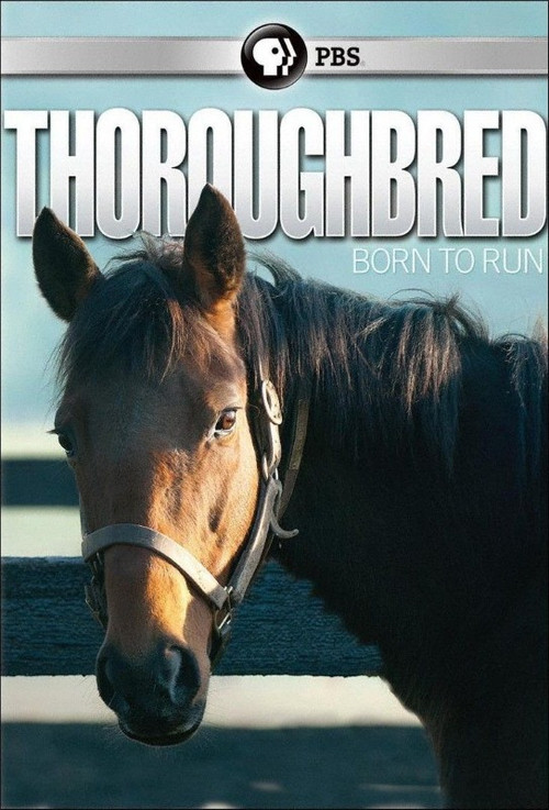 Thoroughbred: Born to Run poster
