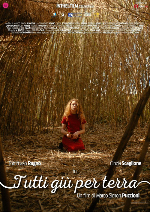 Tutti giù per terra poster