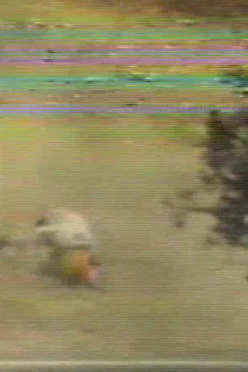 Made for Denise poster