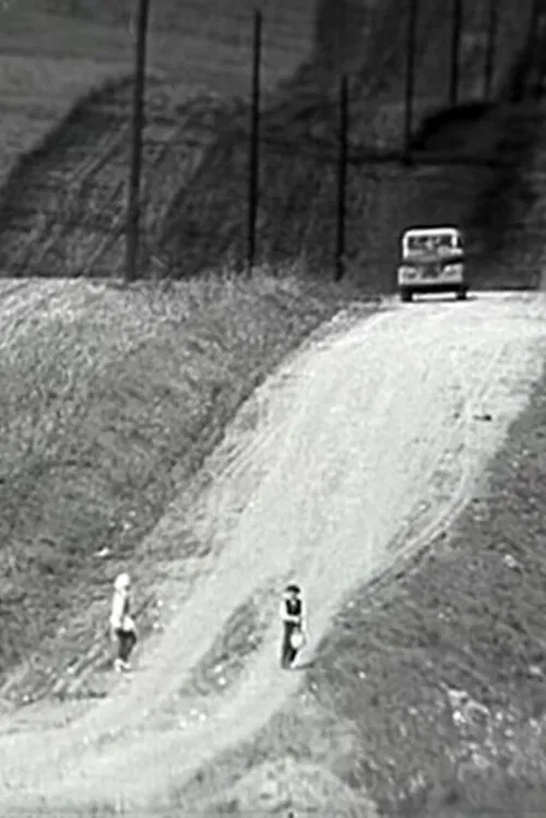 Eine Sommerreise poster