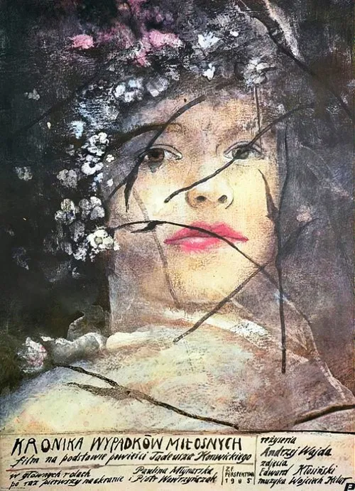 Chronicle of Amorous Accidents poster