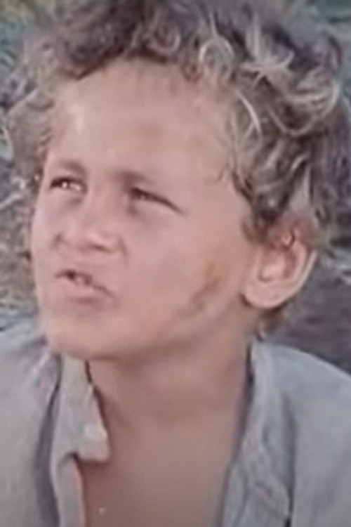 François le Champi poster