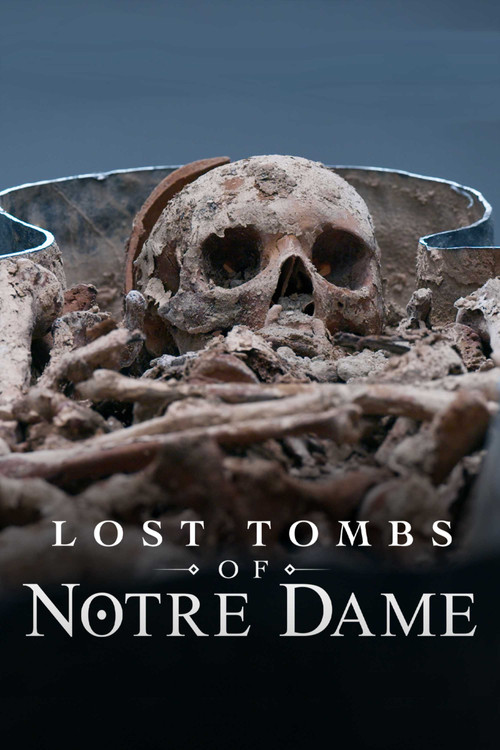 Lost Tombs of Notre Dame poster
