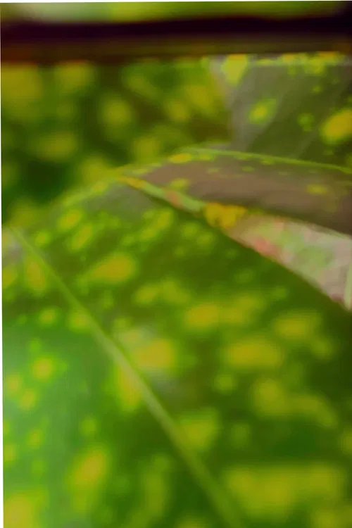 recuerdos de rio verde poster