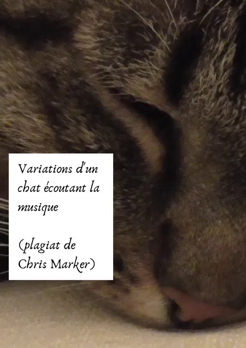 Variations of a cat listening to music (Chris Marker plagiarism) poster