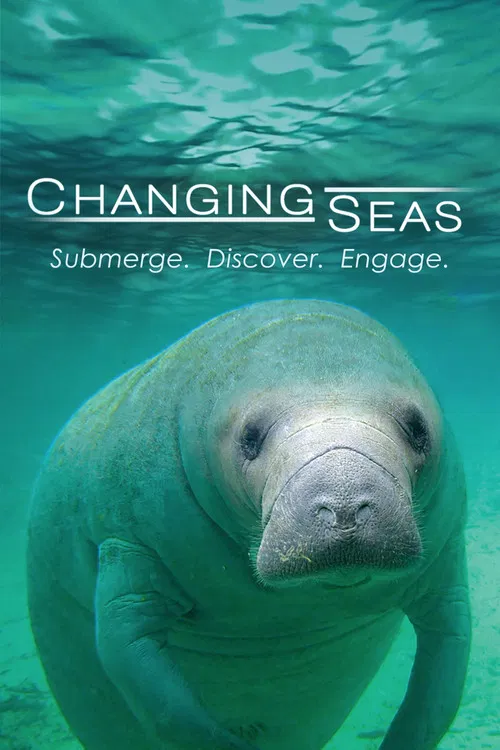 Changing Seas poster