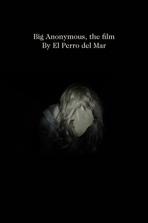 Big Anonymous, the film poster